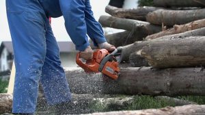 electric chainsaw reviews 